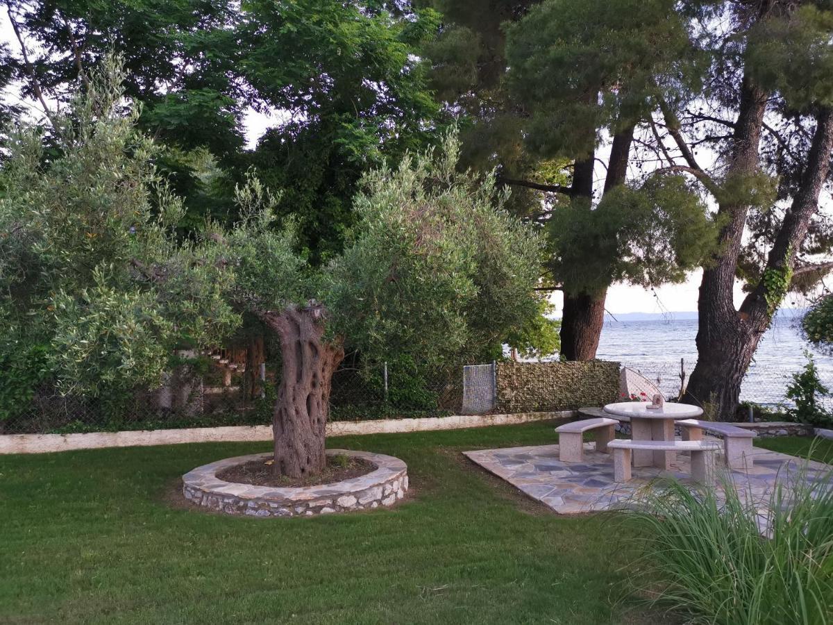 Vila Ca' Del Mare 35M2 Kalogria  Exteriér fotografie