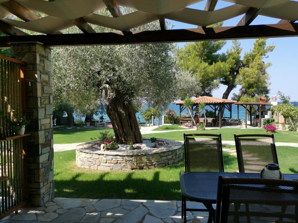 Vila Ca' Del Mare 35M2 Kalogria  Exteriér fotografie